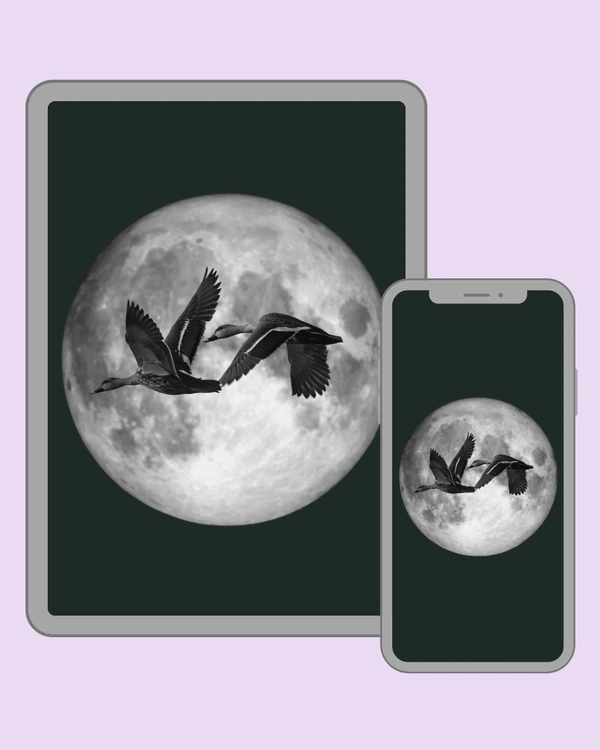 Two dark birds flying across a bright full moon