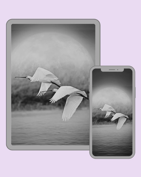 Two white birds flying over water beneath a misty full moon