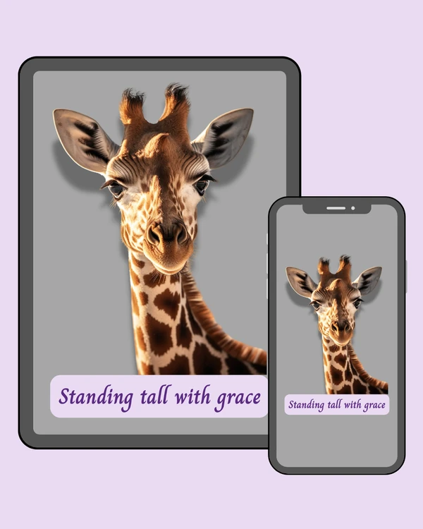 Elegant giraffe portrait on a simple gray background