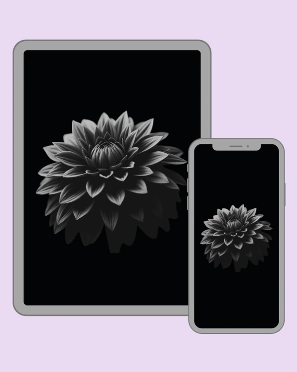 Sculptural black and white flower with a softly closed centre against pure black