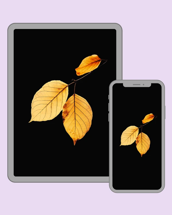 Delicate golden autumn leaves glowing against a deep black background